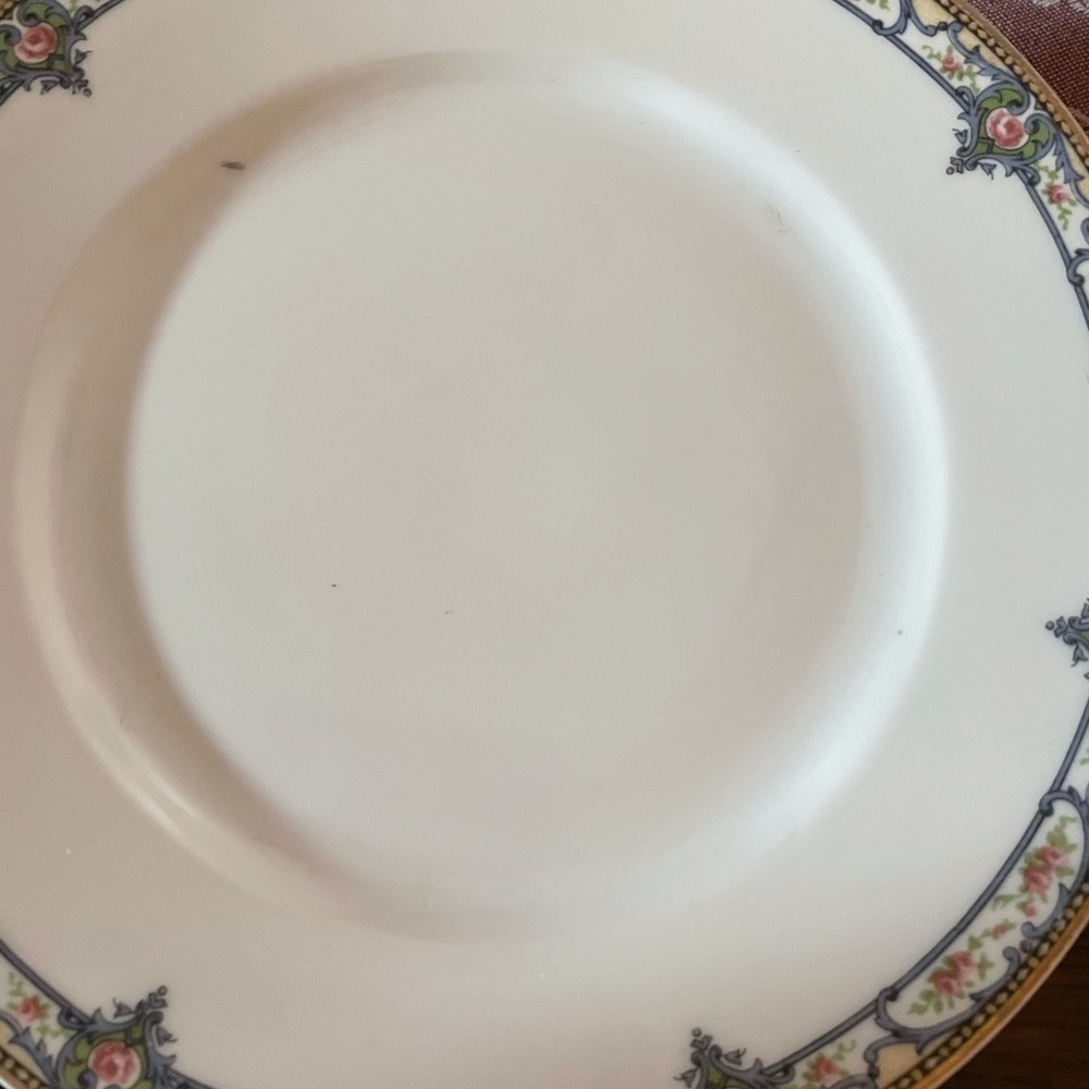 Limoges Troy pattern luncheon plates